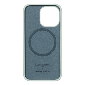 39639197188235,Cool-Tone Fox Head Case for iPhone 13 Pro Max - Mint