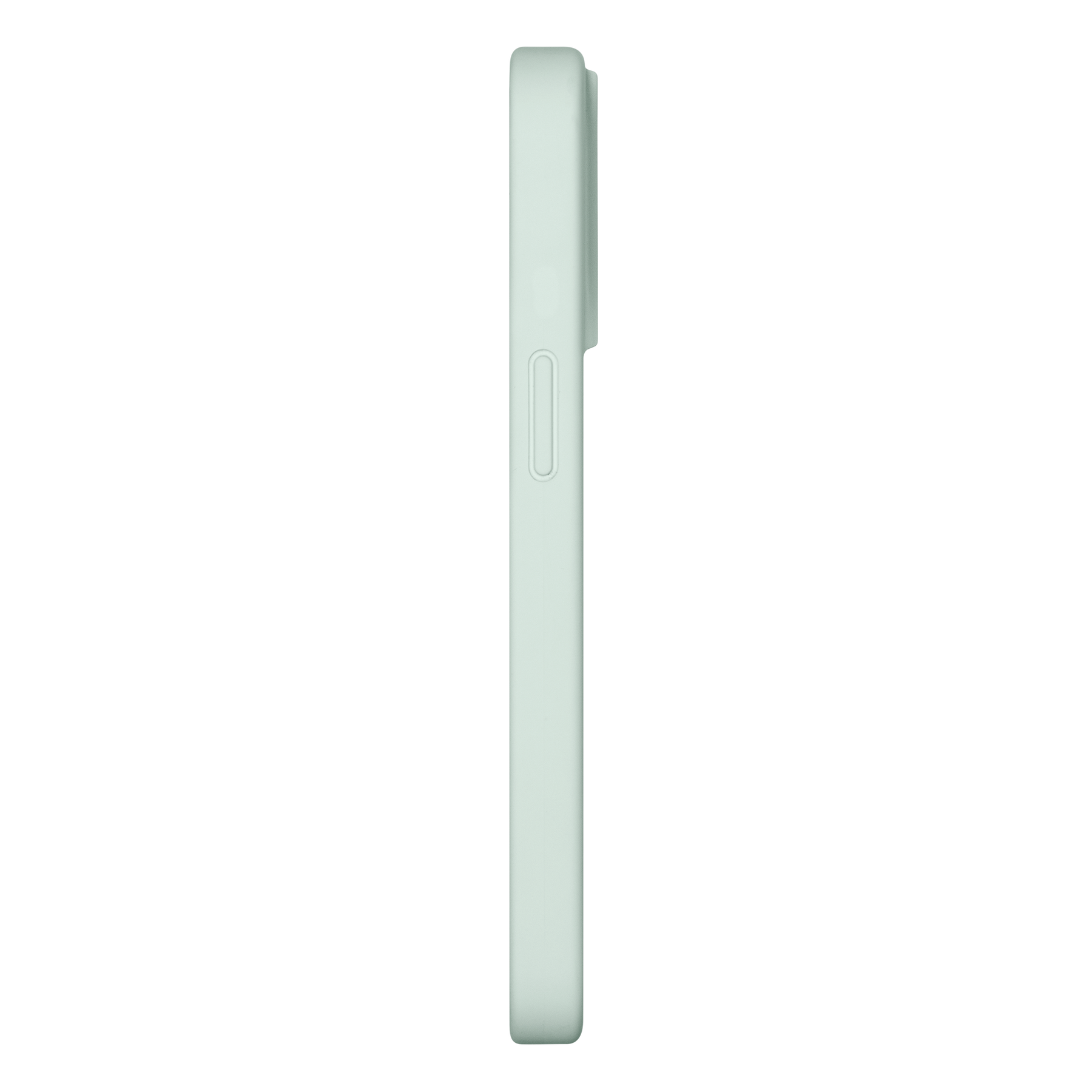 39639197188235,Cool-Tone Fox Head Case for iPhone 13 Pro Max - Mint