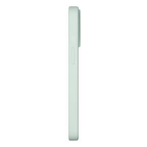 39639197188235,Cool-Tone Fox Head Case for iPhone 13 Pro Max - Mint